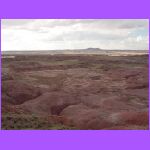 Painted Desert 13.jpg